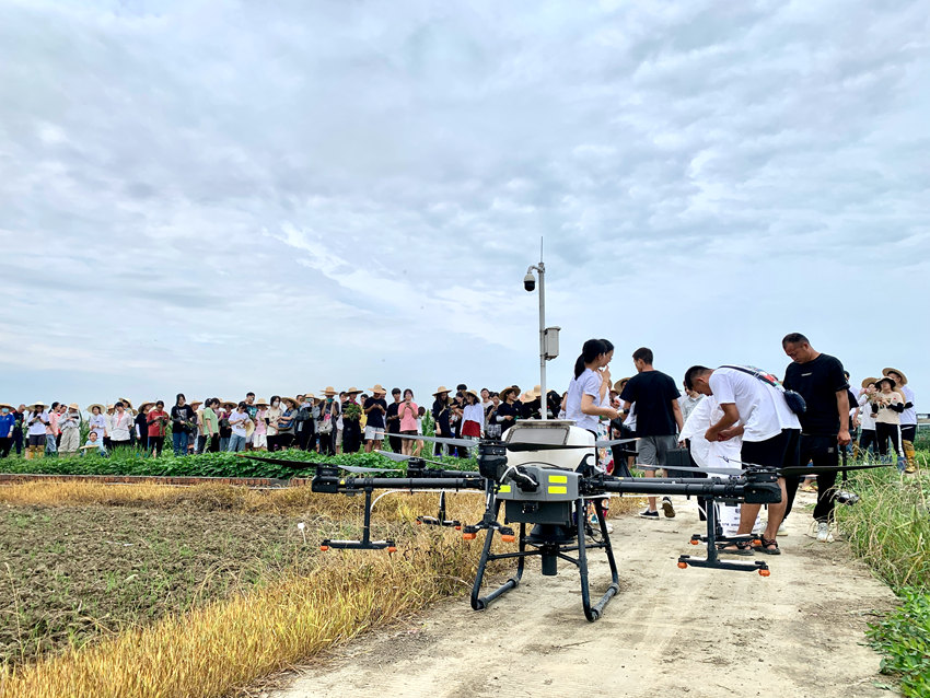 同学们观摩无人机施肥。人民网 王波摄 同学们观摩无人机施肥。人民网 王波摄